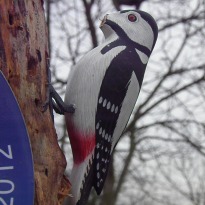 Wooden Woodpecker minus beak